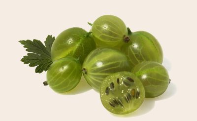Gooseberry, fruit, health — Dr. Edward Lubin Helping Reduce Dependence on Medication Through Preventive Care