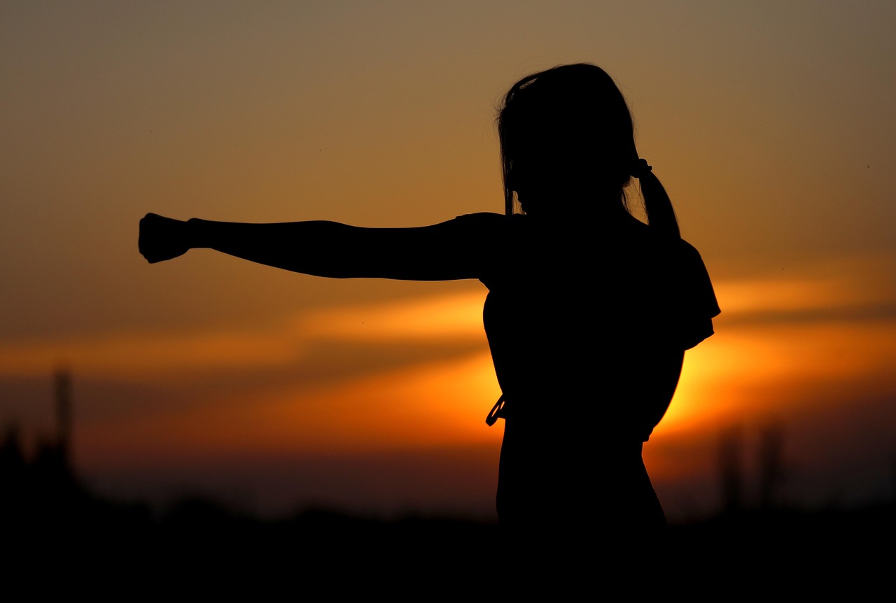 Karate, sunset, fight — Kicking Off Your Soccer Streaming Journey a Fan's Guide to Seamless Game Watching