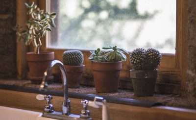 Cactus, kitchen, design — Living the High Life at Emerald of Katong: An Insider's Guide
