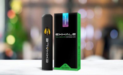Pocket-sized pleasure - Why are THCA disposables your new best friend?