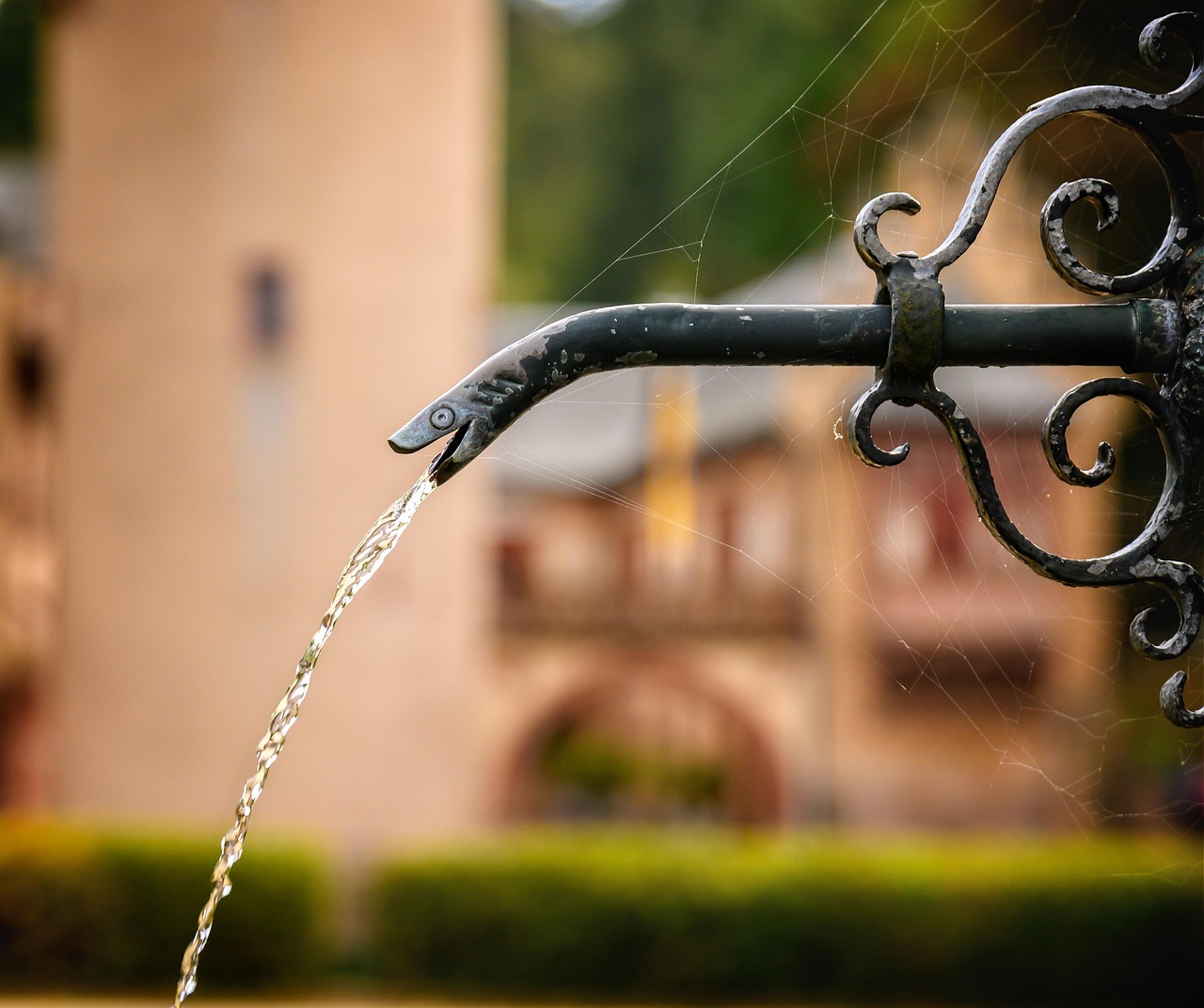 Fountain, water, water jet — Skills Development: Harnessing Potential Through Gap Year Programs