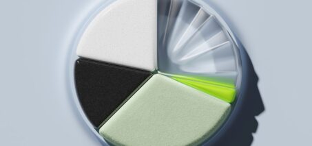 abstract representation of a segmented circular object with varying colors and textures